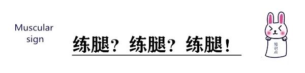 健身房练腿的器械及动作要领_健身房练腿的顺序_健身房练腿是什么意思