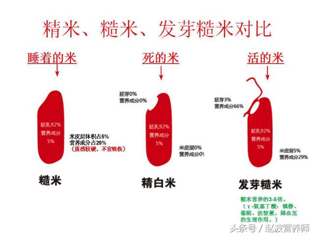 日常家庭糙米怎么搭配米饭_糙米饭配什么好吃_糙米饭配菜